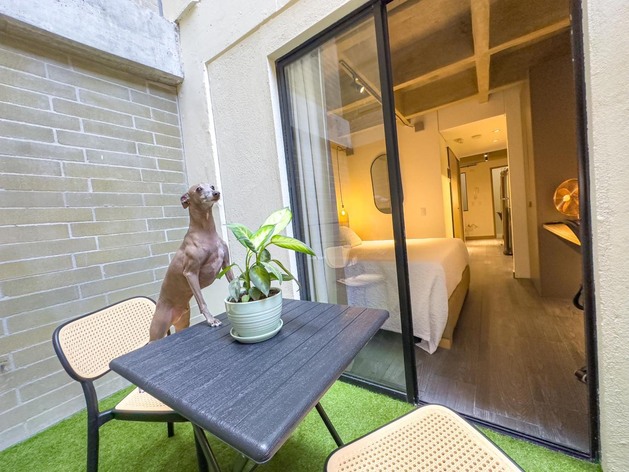 Apartamento B 48 Living By B Rent Medellín